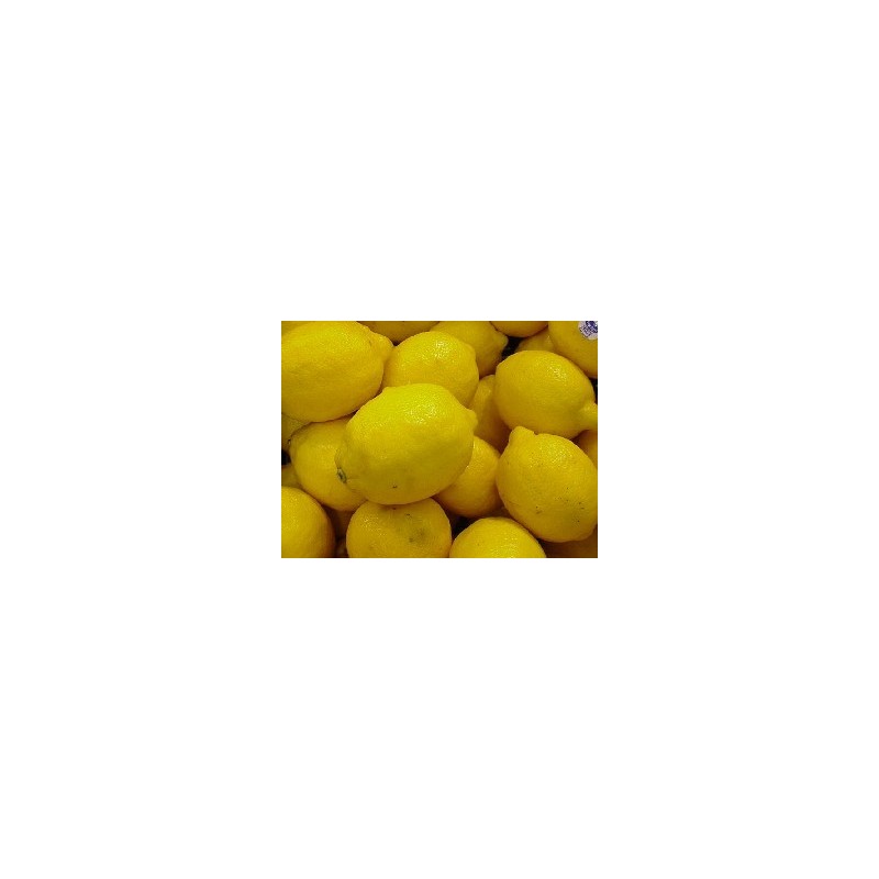 Limonero Lunero arbol frutal