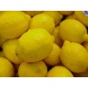 Limonero Lunero arbol frutal