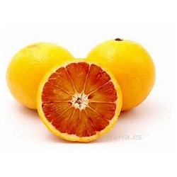 Naranjo Sanguineo (naranjas...